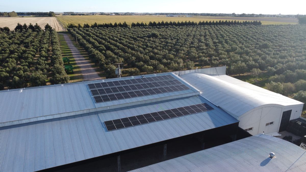 Vista aérea de planta industrial con paneles solares, Rumarolis